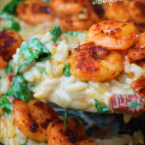Delicious Pasta with Shrimps - Yummy Expert