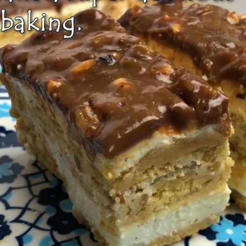 No-Bake Cheesecake with Biscuits, Walnuts, and Chocolate Glaze - Yummy Expert
